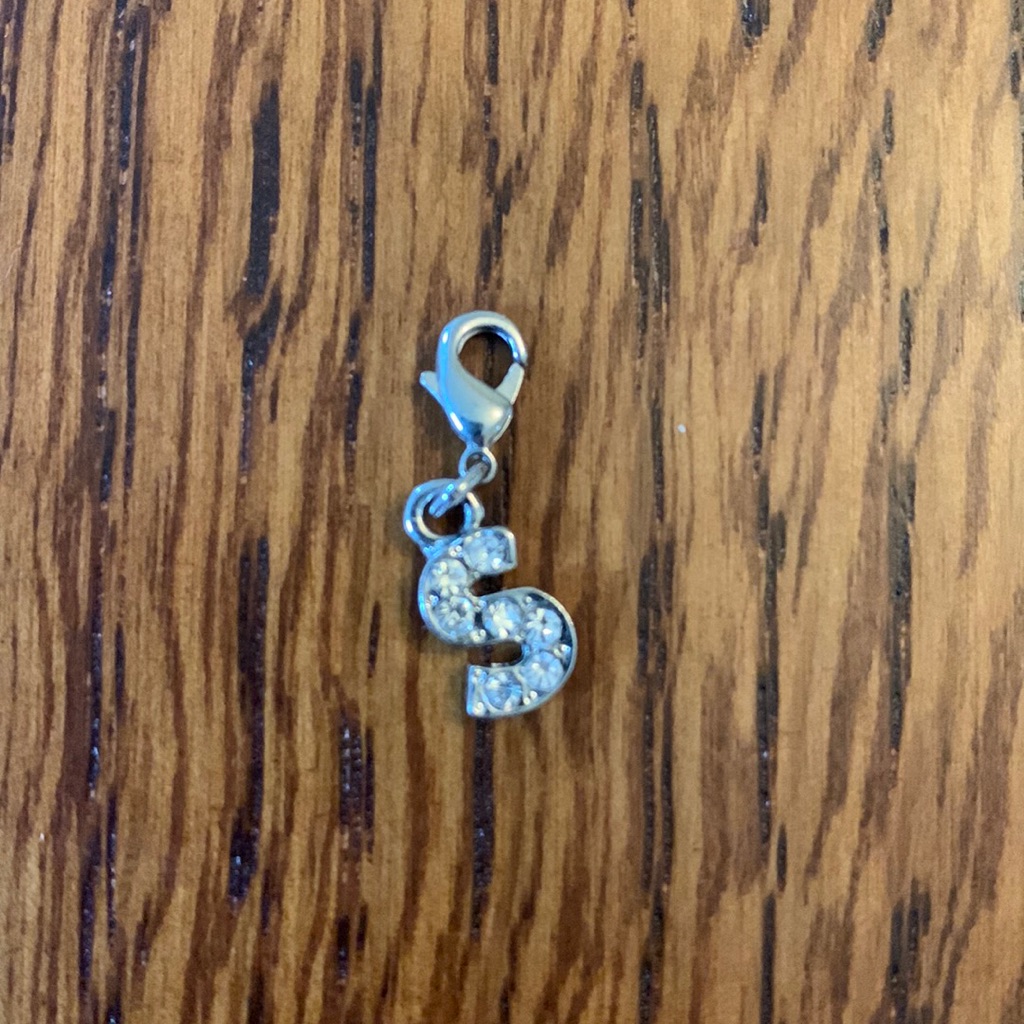 Silver S Initial Charm